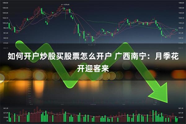 如何开户炒股买股票怎么开户 广西南宁：月季花开迎客来